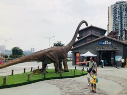 点击看大图 -恐龙探索乐园(磁器口店)