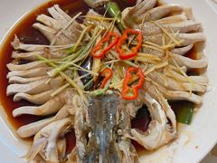 -煲来饱去冷水鱼