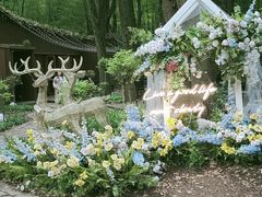 -同里国家湿地公园