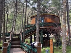 -洛阳白云山景区