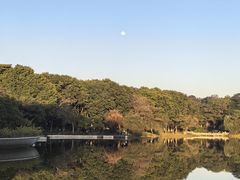-东莞植物园