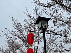 -古柏渡飞黄旅游区