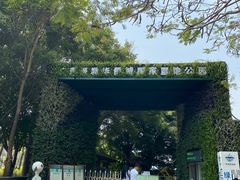 -华侨城湿地公园