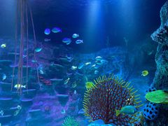 -沈阳海洋探索中心