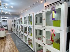 -青奢宠物·青奢猫舍