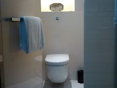 很不喜欢的唯宝马桶-上海璞麗酒店