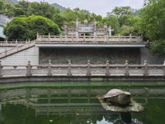 -鼎湖山风景区