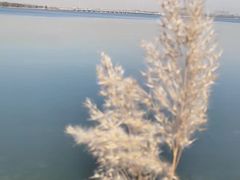 -丁香湖公园