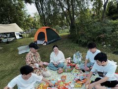 -上海长兴岛郊野公园