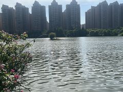 -成都南湖公园