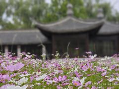 -桐江书院