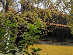 -挂甲禅寺