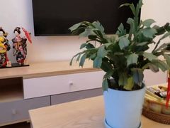 -八号公馆·老上海SPA(深圳北站店)