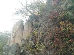 -北京鹫峰国家森林公园