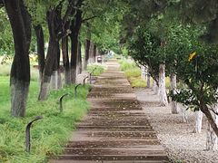 -汉长安城未央宫国家考古遗址公园