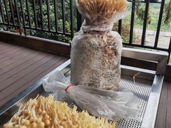 -巴倒烫陆派火锅山庄(南山总店)