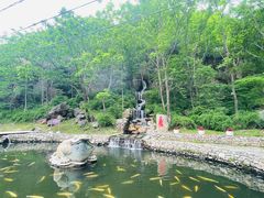 -大连天门山国家森林公园