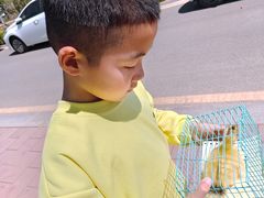 -君乐宝优致牧场