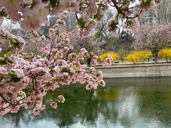 -海棠花溪(元大都城垣遗址公园)