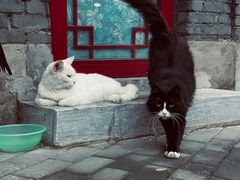 -后海16号·北京私房菜