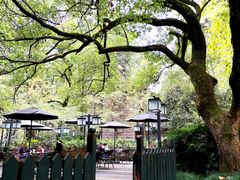 -星巴克(杭州北山路店)