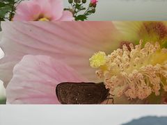 -南北湖风景区
