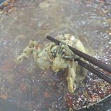 活力满满跳蛙蛙