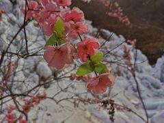 -黑龙潭风景区