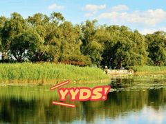 -亲兄弟真人CS团建拓展基地