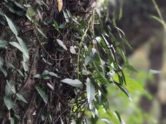 -兴福老面馆(寺路街店)