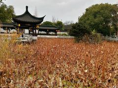 -丝绸小镇荻港古村