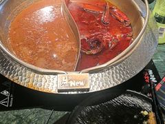 -牛New寿喜烧(金鹰世界店)