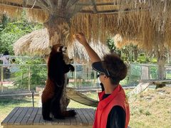 -水上乐园·欢乐世界