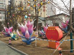 -雁滩公园