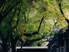 -东华门大街小区