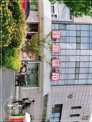 -登康贝比(润城店)