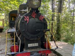 -五营红松林海景区