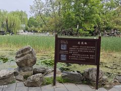 -莲湖公园