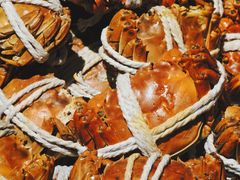 -锦厨国际自助餐厅 · 云端景观 (昆明索菲特大酒店)