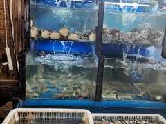 水产区-老东镇啤酒屋海鲜加工·蒸汽海鲜·海鲜烧烤(台东店)