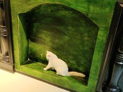 -猫色咖啡·猫咖