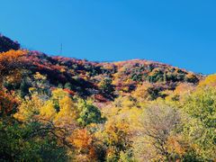 -北京西山国家森林公园