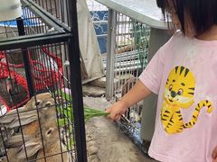 -马陆小张葡萄园农家乐