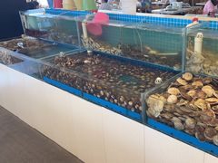 -港畔赶海蒸汽海鲜烧烤自助(仙螺岛店)