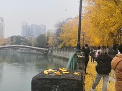 -温江公园