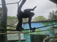 -杭州野生动物世界
