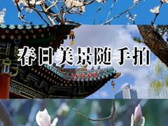 -迎泽公园