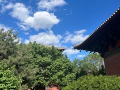 -善化寺