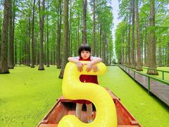 -渌洋湖湿地公园