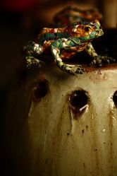 店内环境-老黑造型